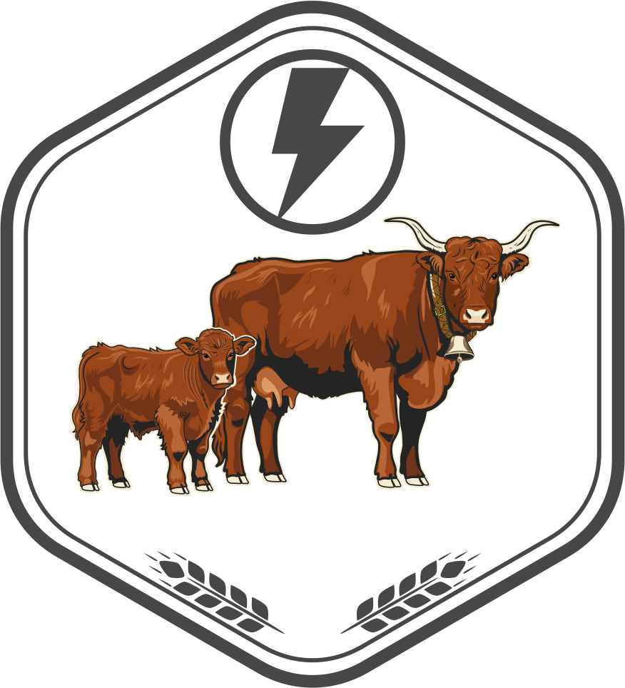 Upravljanje pašnjacima