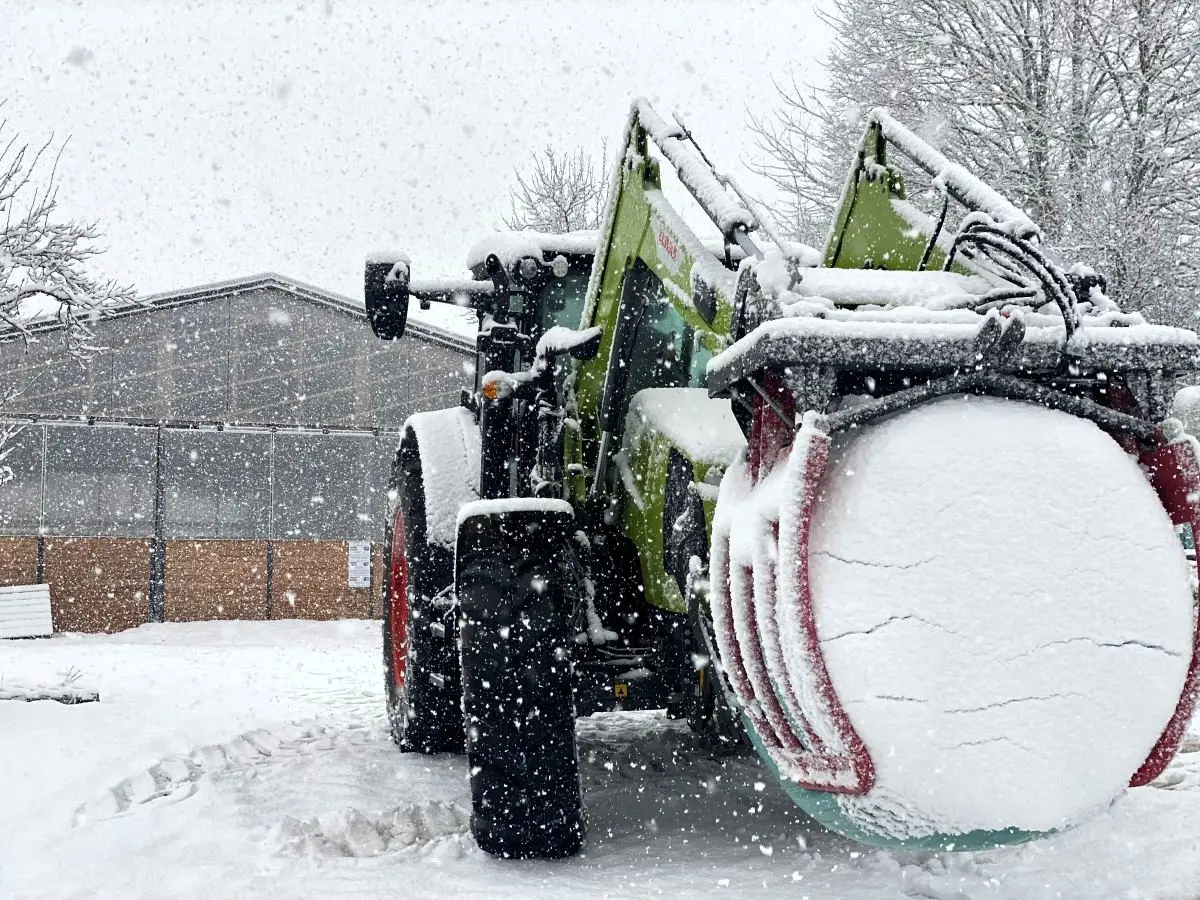 Salers u zimskim uvjetima Like